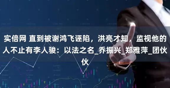 实倍网 直到被谢鸿飞诬陷，洪亮才知，监视他的人不止有李人骏：以法之名_乔振兴_郑雅萍_团伙