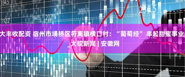 大丰收配资 宿州市埇桥区符离镇横口村：“葡萄经” 串起甜蜜事业  _大皖新闻 | 安徽网