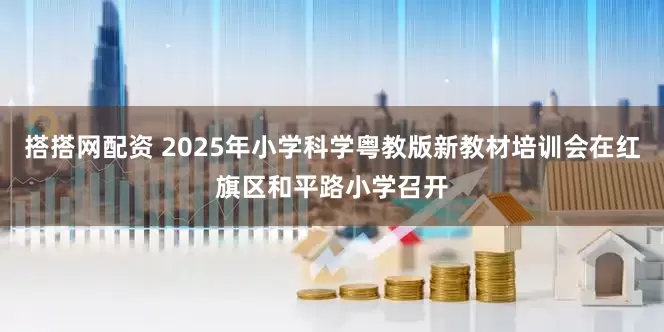 搭搭网配资 2025年小学科学粤教版新教材培训会在红旗区和平路小学召开